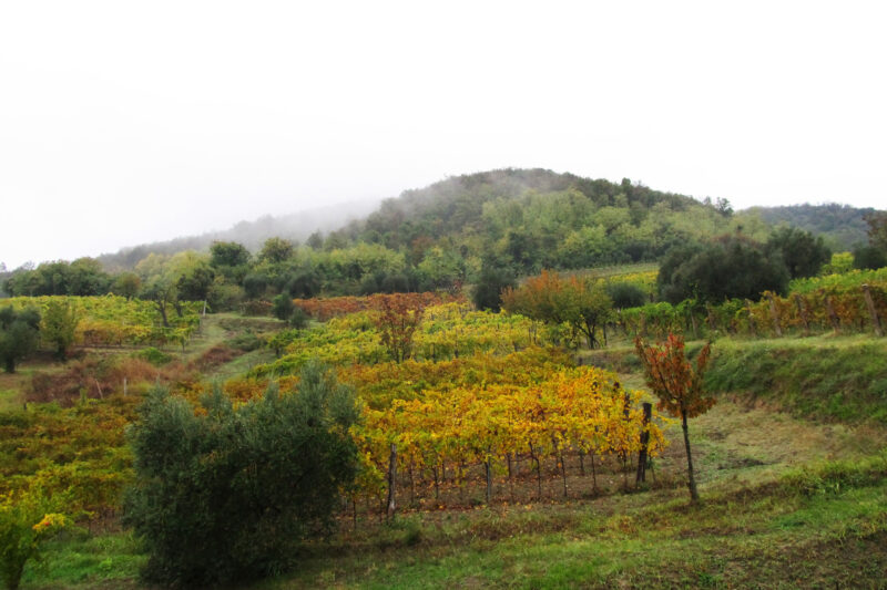 territorio